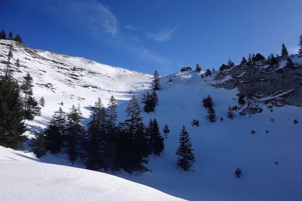 Nice And Cosy Flat Near Geneva Or Annecy Bellegarde-sur-Valserine ภายนอก รูปภาพ